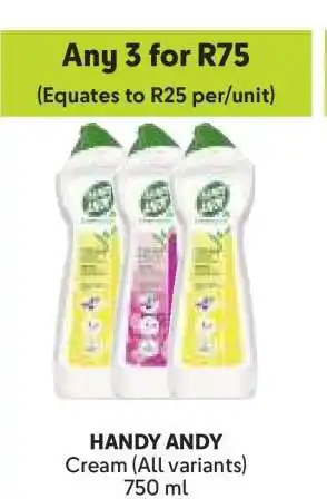 Makro HANDY ANDY offer