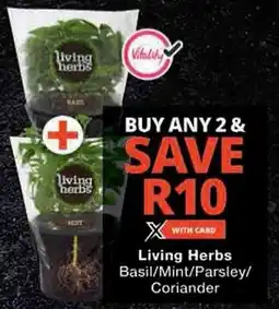 Checkers Living Herbs Basil/ Mint/ Parsley/ Coriander offer