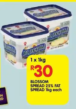 Shoprite BLOSSOM SPREAD 25% FAT SPREAD 1kg each offer