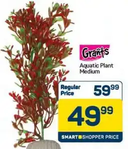 Pick n Pay Hypermarket Grants Aquatic Plant Medium offer