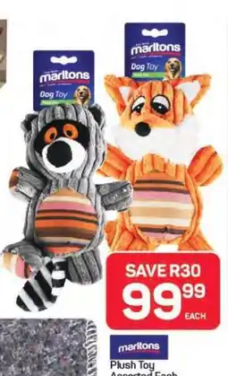 Pick n Pay Hypermarket Marltons Dog Toy offer