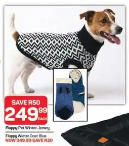 Pick n Pay Hypermarket Fluppy Pet Winter Jersey offer