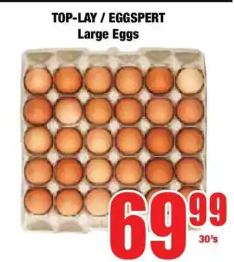 Boxer TOP-LAY / EGGSpert Large Eggs offer