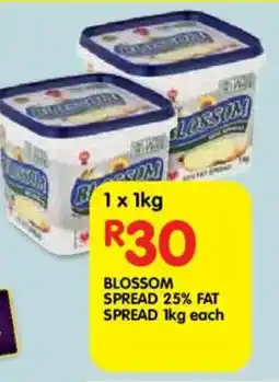 Shoprite Blossom spread 25% fat spread offer