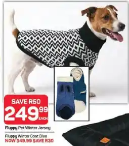 Pick n Pay Fluppy Pet Winter Jersey offer