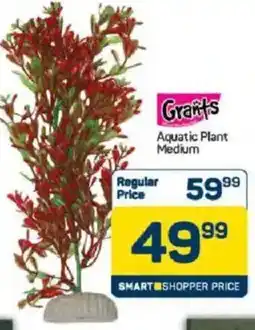 Pick n Pay Grants Aquatic Plant Medium offer