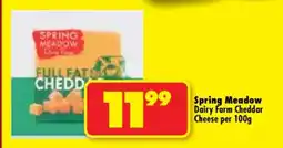 Shoprite Spring Meadow Dairy Farm Cheddar Cheese per 100g offer