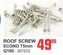 Cashbuild Roof screw econo offer