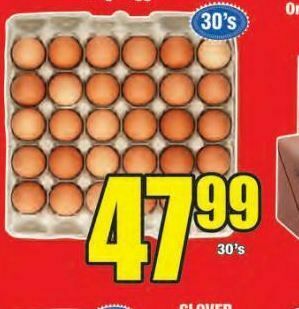 Boxer Eggs offer