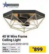 Builders Warehouse Bright Star Lighting 40W Wire Frame Ceiling Light Black & Gold 850015975 offer