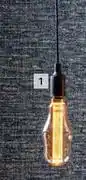 Builders Warehouse DH 3W Bottle Curve Filament Globe 50022672 offer