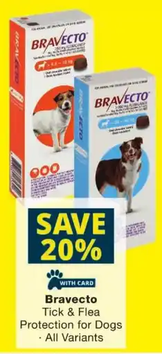 Checkers Bravecto Tick & Flea Protection for Dogs offer