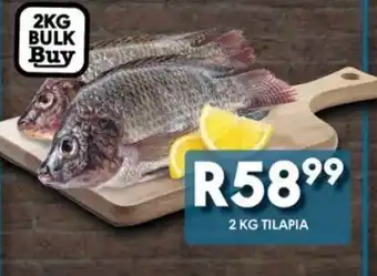 Tilapia