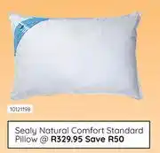 Bradlows Sealy Natural Comfort Standard Pillow 10121198 offer