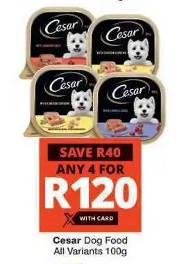 Checkers Cesar Dog Food offer