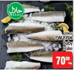 KitKat Cash and Carry FW FISH Baby Hake offer