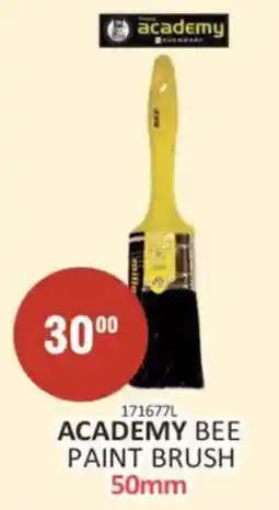 KitKat Cash and Carry Academy bee paint brush offer