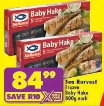 Shoprite Sea Harvest Frozen Baby Hake offer