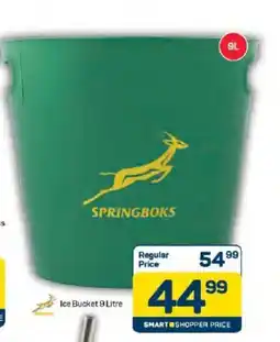 Pick n Pay Springboks Ice Bucket offer