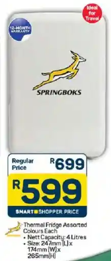 Pick n Pay Springboks Thermal Fridge Assorted Colours offer