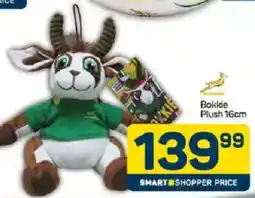 Pick n Pay Springboks Bokkie Plush offer