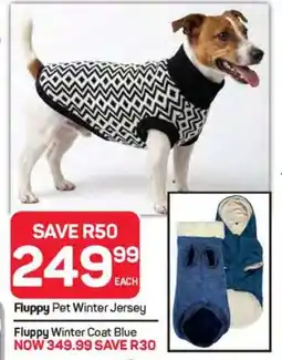 Pick n Pay Hypermarket Fluppy Pet Winter Jersey offer