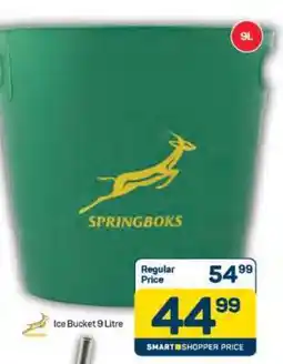 Pick n Pay Ice Bucket 9 Litre offer