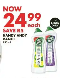 Woolworths Handy Andy Range offer