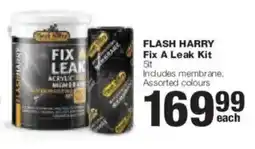 Build It Flash Harry Fix A Leak Kit offer