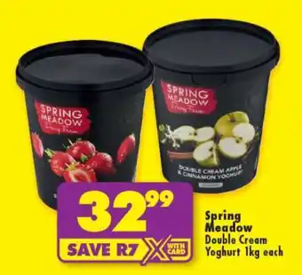 Shoprite SPRING MEADOW DOUBLE CREAM YOGHURT 1kg offer