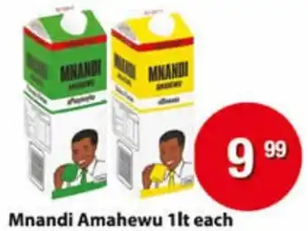 Check Save Mnandi Amahewu 1lt each offer