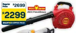 Pick n Pay Hypermarket Wolf Garden 26CC Petrol Blower offer
