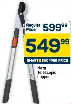Pick n Pay Hypermarket Neta Telescopic Lopper offer