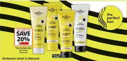 Checkers The Perfect Hair Hair Care Products offer