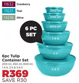 Botle Buhle Brands Tulip Container Set offer