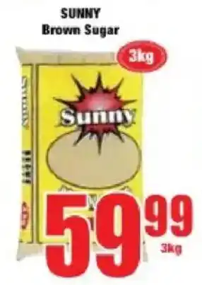 Boxer Sunny Brown Sugar offer