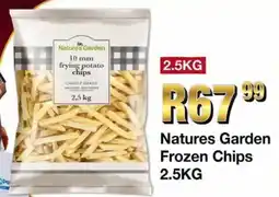 Take 'n Pay Natures Garden Frozen Chips offer