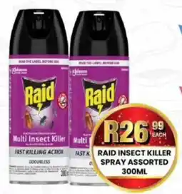 Take 'n Pay Raid insect killer spray assorted offer