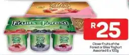 Pick n Pay Hypermarket Clover Fruits of the Forest or Bliss Yoghurt Assorted offer