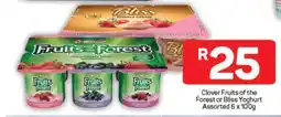 Pick n Pay Hypermarket Clover Fruits of the Forest or Bliss Yoghurt offer