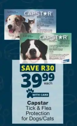 Checkers Capstar Tick & Flea Protection for Dogs/ Cats offer