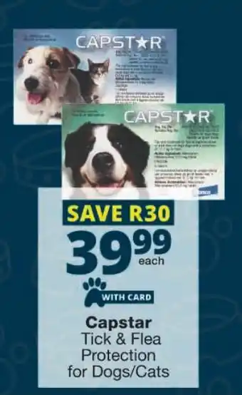 Checkers Capstar Tick & Flea Protection for Dogs/ Cats offer