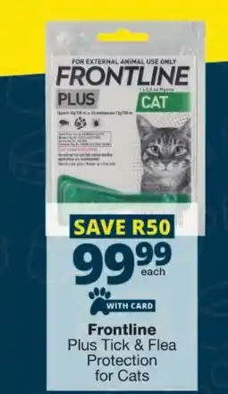 Checkers Frontline Plus Tick & Flea Protection for Cats offer