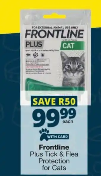 Checkers Frontline Plus Tick & Flea Protection for Cats offer