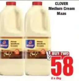 Boxer Clover Medium Cream Maas offer