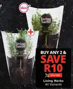 Checkers Living Herbs All Variants offer