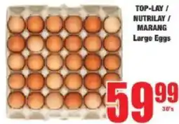 Boxer Top-lay/ nutrilay/ marang large eggs offer