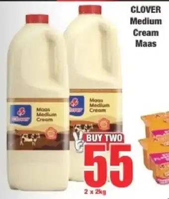 Boxer Clover Medium Cream Maas offer
