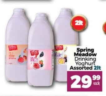 Take 'n Pay Spring Meadow Drinking Yoghurt Assorted 2lt offer