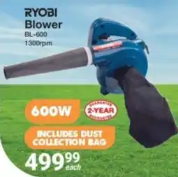Mica Ryobi Blower offer